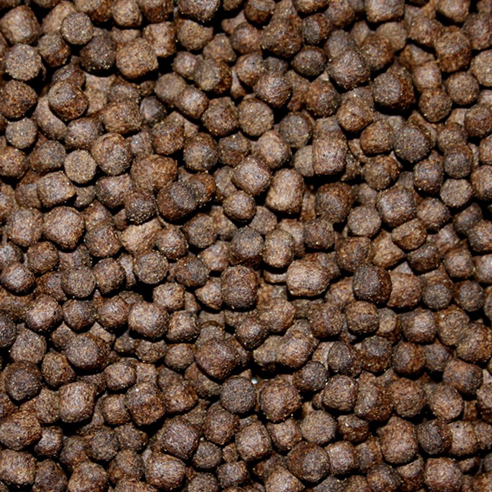 Frühjahrsfutter für Koi , langsam absinkend, sehr energiereich, hochverdaulich 5mm 3kg Eimer