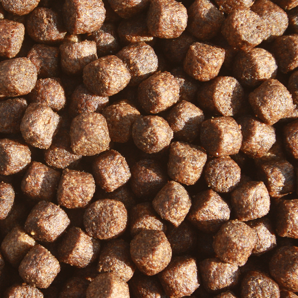 Frühjahrsfutter Koi, Energiefutter schwimmend, Spirulinafutter, Energie für Koi 10kg 6mm