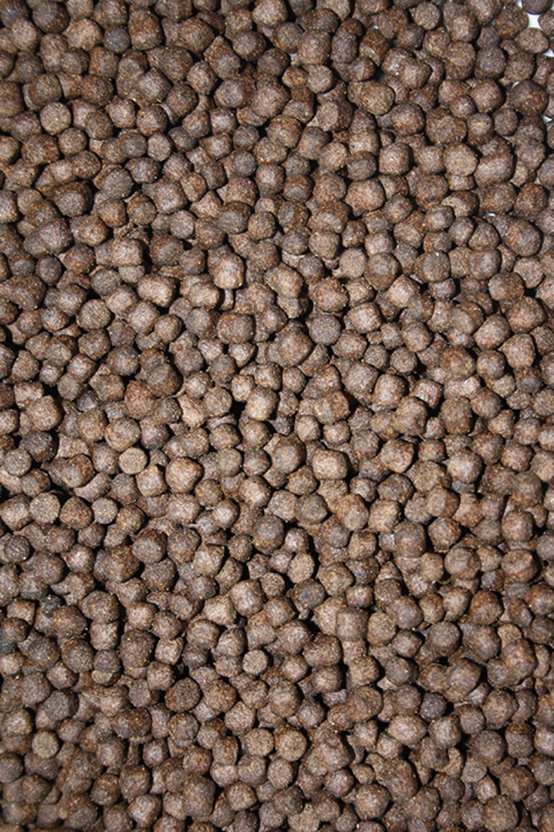 Winterfutter Koi, Sinkfutter energiereich, Winterfood Classic, langsamsinkend 5mm 5kg