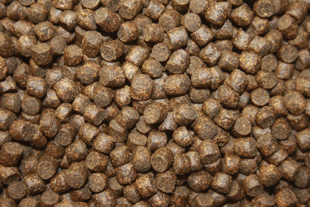 Herbstfutter für Koi, langsam sinkendes Energiefutter für den Herbst 5mm 5kg