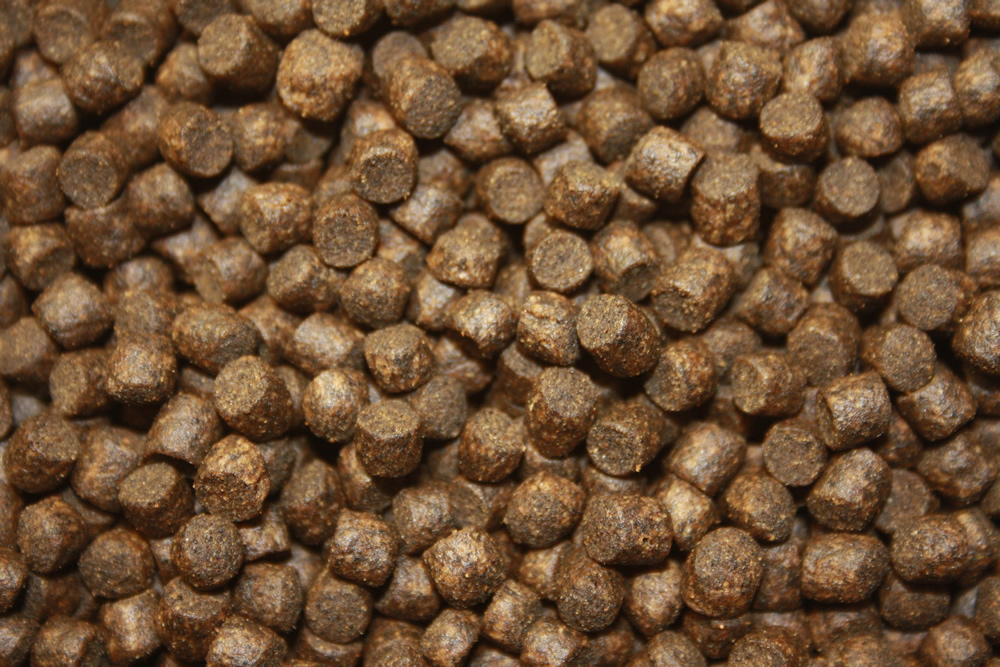 Winterfutter Koi, Sinkfutter energiereich, Winterfood Classic, langsamsinkend 5mm 5kg