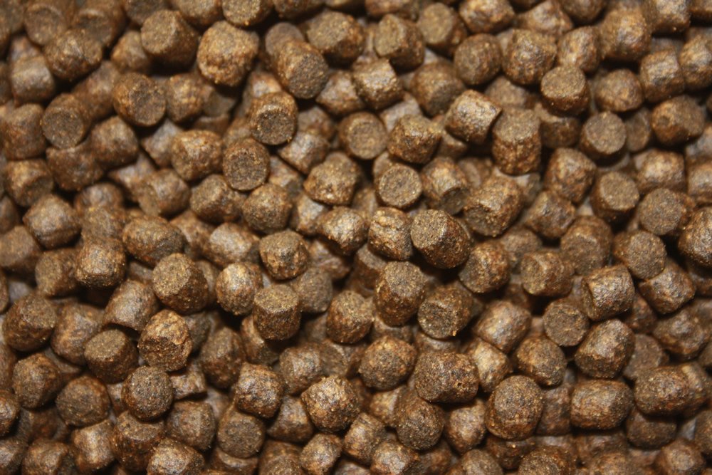 Winterfutter für Koi Sinkfutter energiereich hochverdaulich Tomodachi Winterfood Classic 5kg Eimer