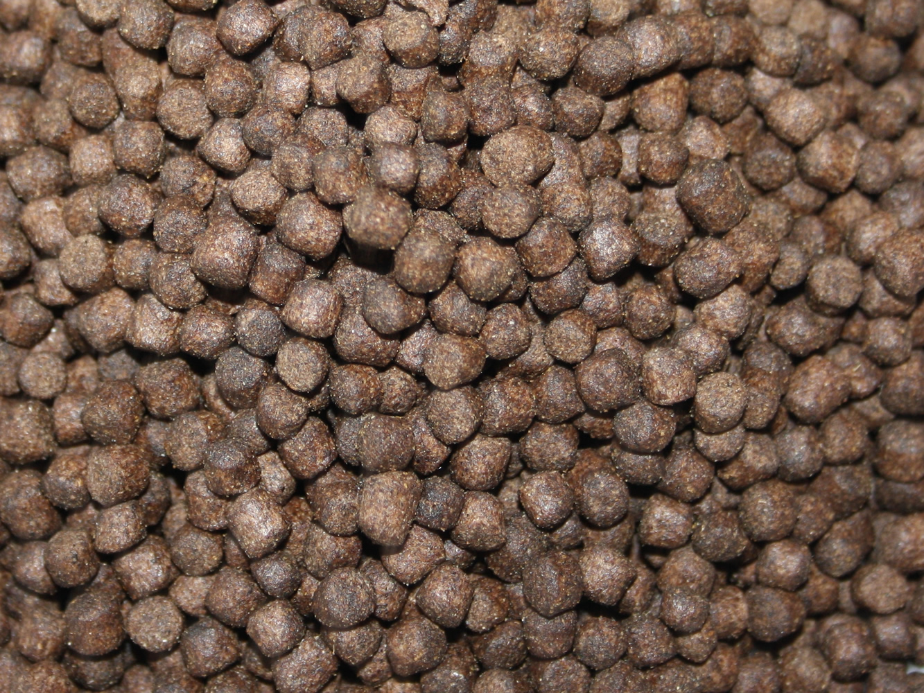 Koifutter, Frühjahrsfutter,  Immunschutzfutter Koi mit Monoglyceriden, Frühjahrsfutter Plus 5mm 10kg