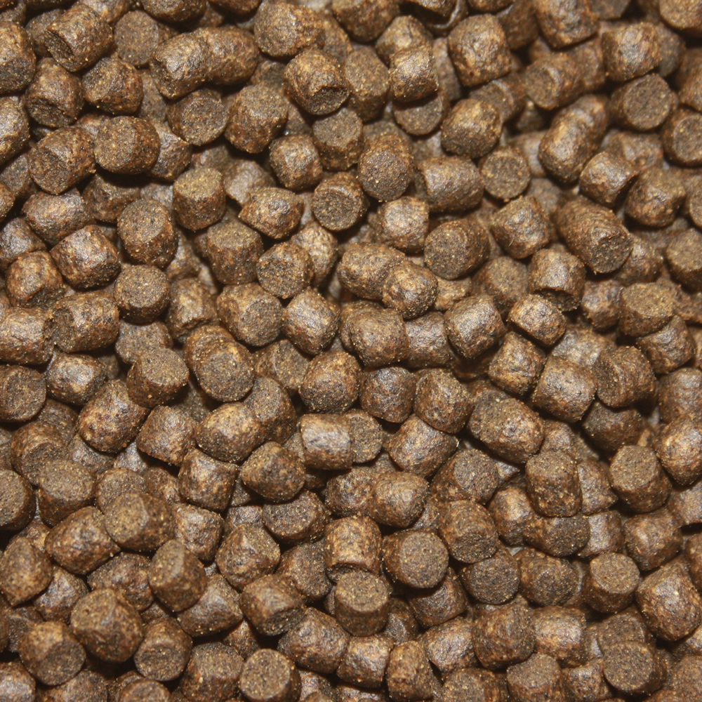 Energiefutter für Koi im Winter, langsam sinkendes Koifutter, Spirulinafutter, Winterfood Energy 5mm