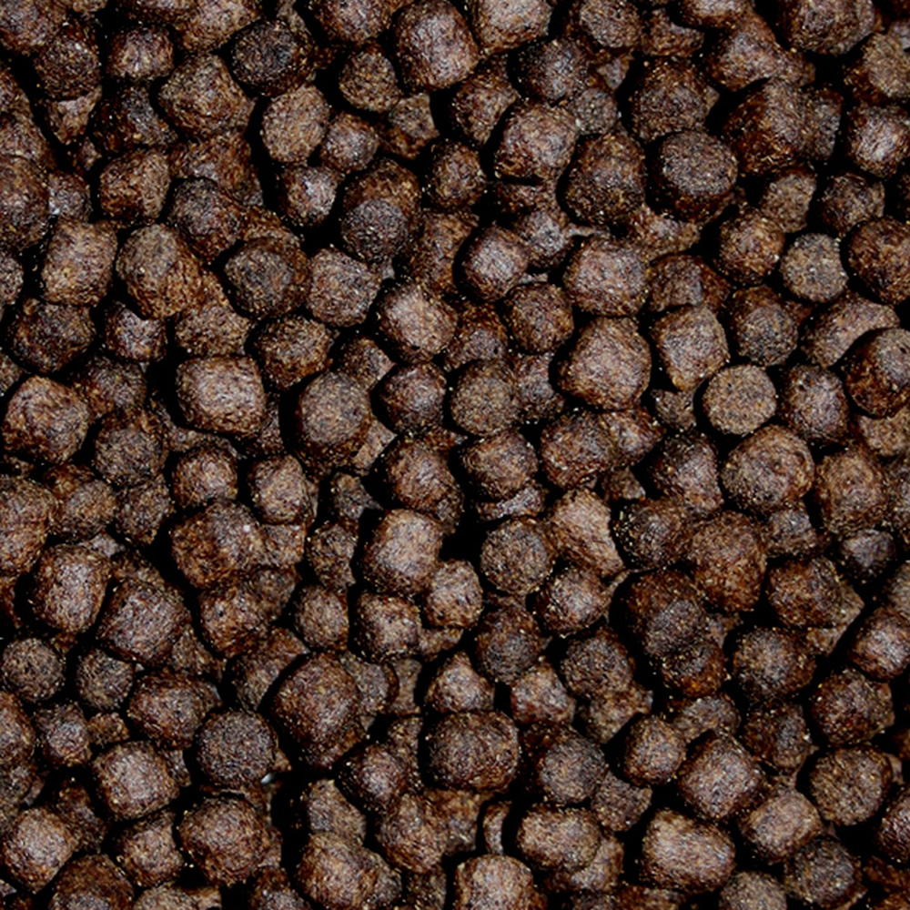 Frühjahrsfutter für Koi , langsam absinkend, sehr energiereich, hochverdaulich 5mm 3kg Eimer