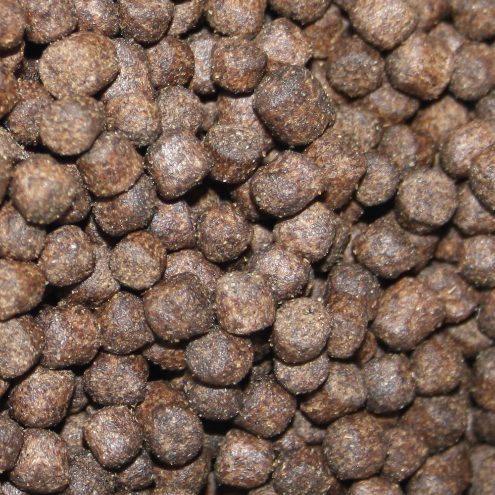 All Season Professional Koifutter, energiereiches Ganzjahresfutter, Wachstumsfutter Koi 6mm 2kg