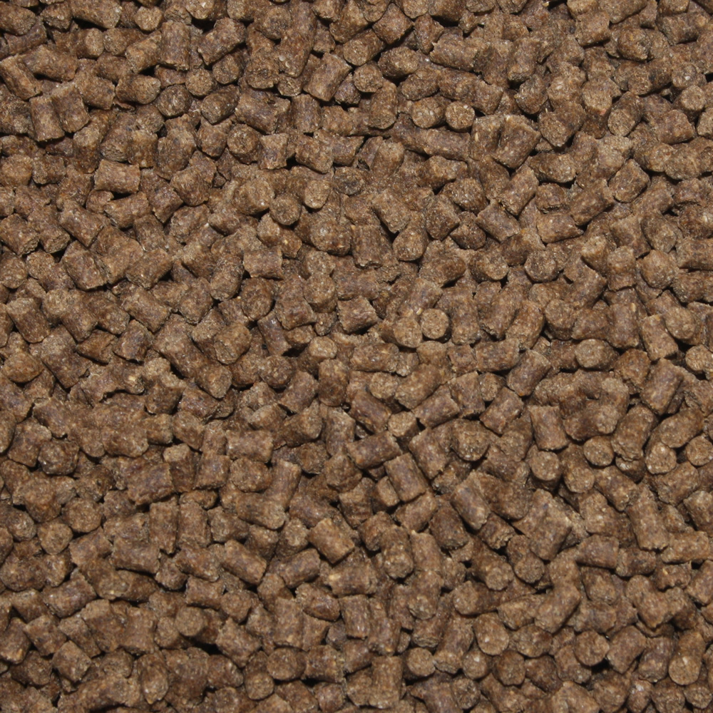 Gesundheitsfutter, Winterfutter Koi, Sinkfutter Monoglyceride, Tomodachi Deep Winter Vital 3mm 5kg