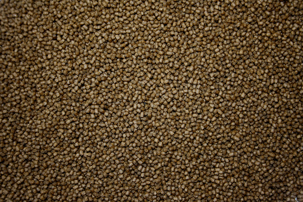 All Season Professional Ganzjahresfutter für Koi jeden Alters, 3mm Koipellets, 15kg