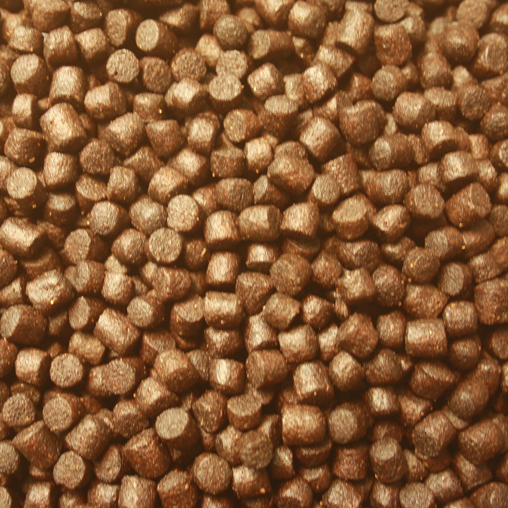 Winterfutter Koi, semi sinkend, Koifutter Spirulina +Astax, hochverdaulich, Winterfood Plus 10kg 6mm