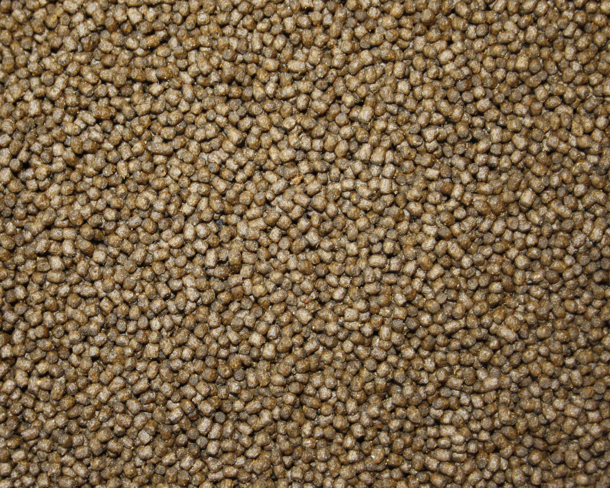 Wachstumsfutter Koi, Aufzuchtfutter Tosai, Kraftfutter Koi, Tomodachi High Growth 3mm 15kg