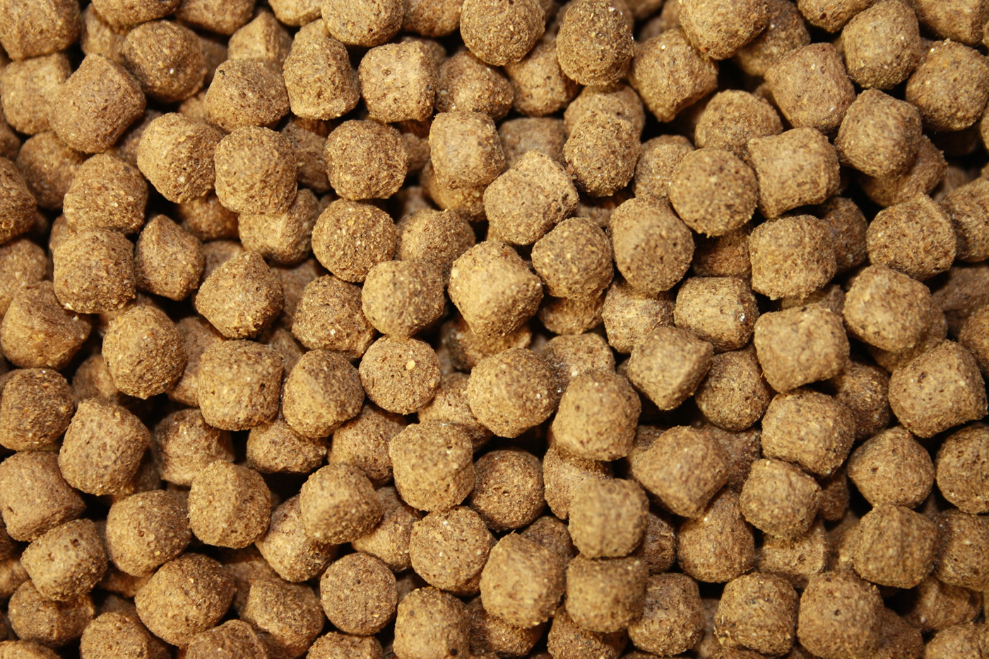 Jumbo Koifutter All Season Ganzjahres Koifutter Schwimmfutter für große Koi 8mm 5kg Eimer