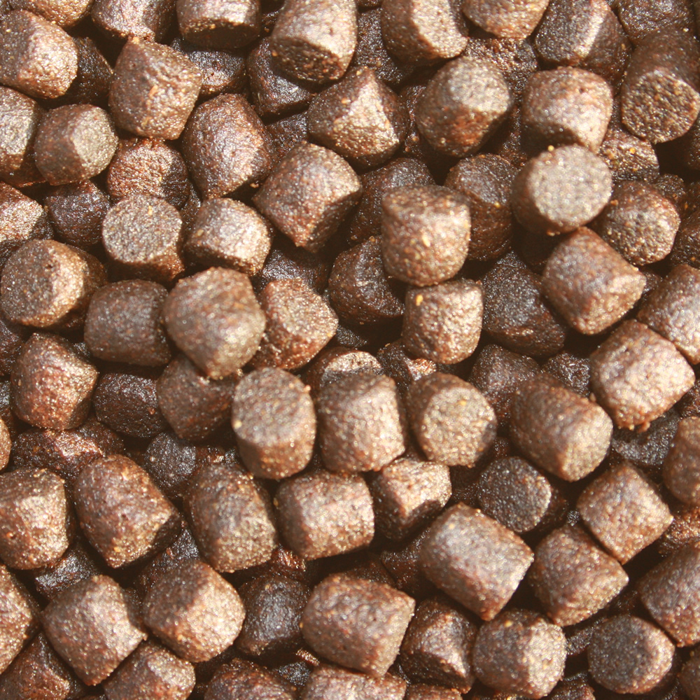 Koifutter mit Astax  Farbschutz und Immunschutz, Wachstumsfutter, Tomodachi Colorbooster 6mm 10kg