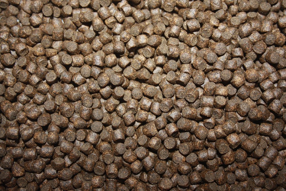 Energiefutter für Koi im Winter, langsam sinkendes Koifutter, Spirulinafutter, Winterfood Energy 5mm