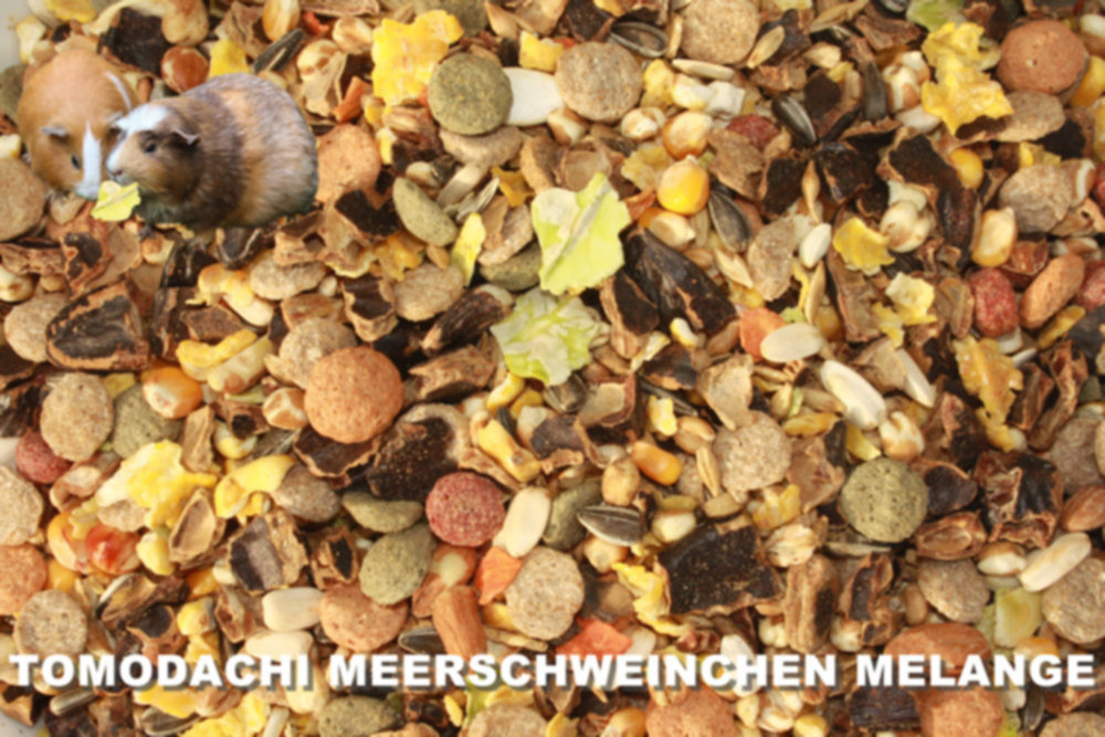 Meerschweinchenfutter ohne Pellets, Nagerfutter, Alleinfutter, Naturfutter lecker, kernig 5kg