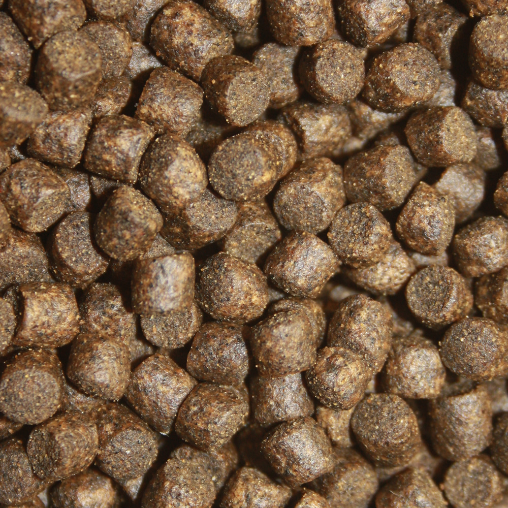 Gesundheitsfutter, Winterfutter Koi, Sinkfutter mit Monoglyceriden Vitalfutter 2kg