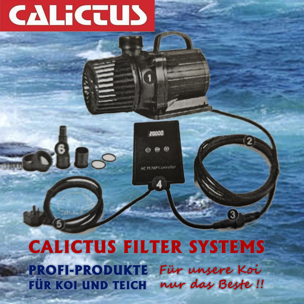 Teichpumpe, Filterpumpe, Bachlaufpumpe regelbar, energiesparend Calictus ECO 20000 Vario