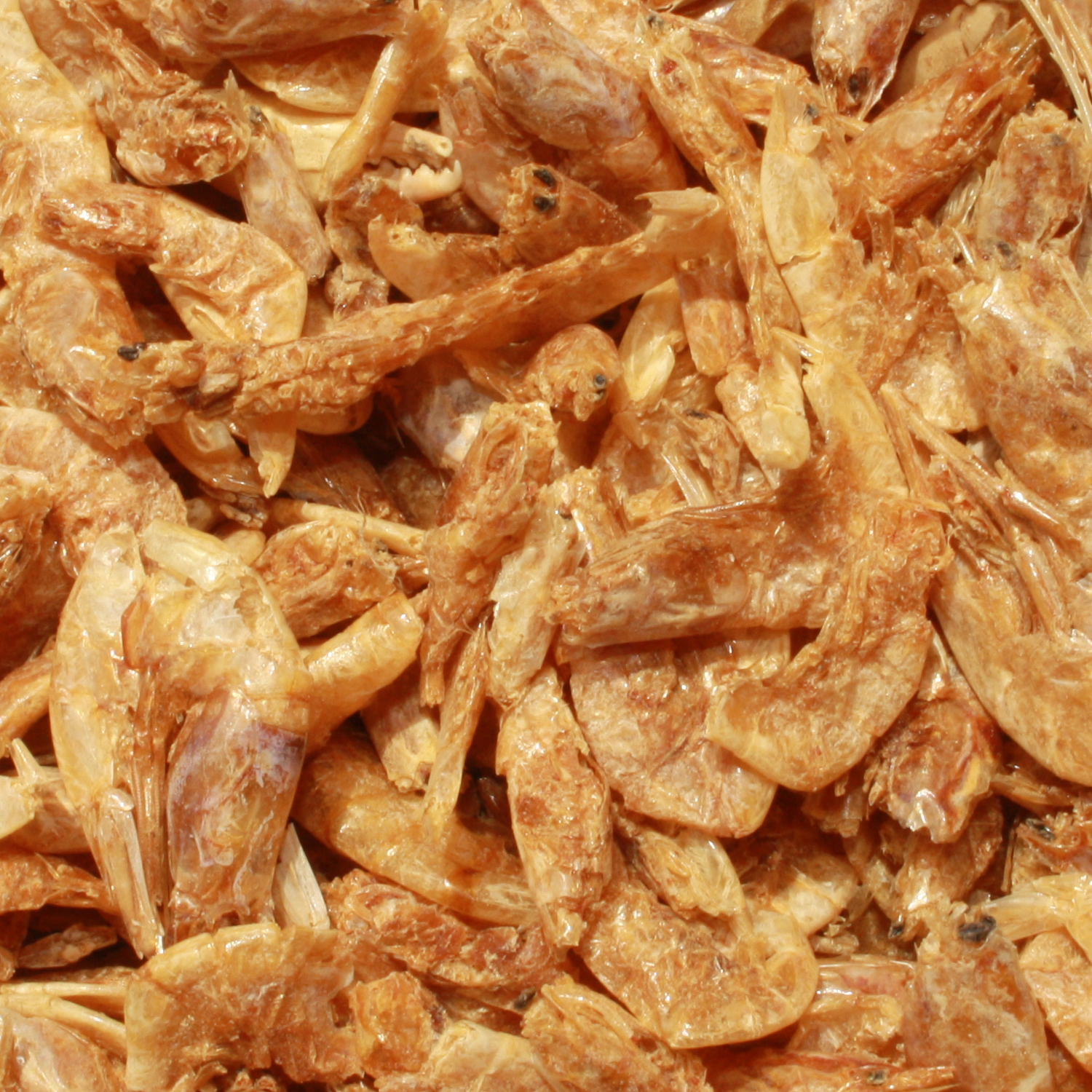 Riesengarnelen, Koisnack, Tomodachi Koi-Gambas - leckeres Sommerfutter für handzahme Koi 3kg