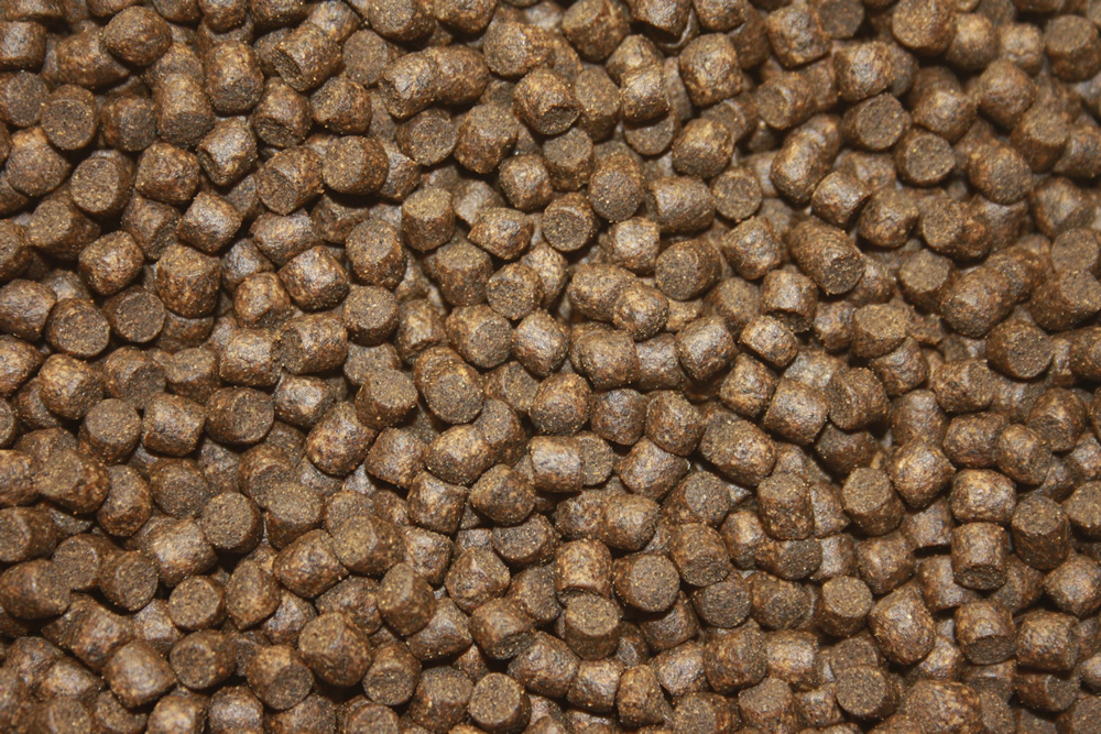 Winterfutter Koi, Immunschutz, Koigesundheit,  Betaglucan Koifutter sinkend,  Winterbalance 5mm 10kg