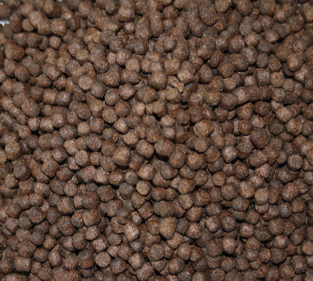 Frühjahrsfutter für Koi , langsam absinkend, sehr energiereich, hochverdaulich 5mm 3kg Eimer