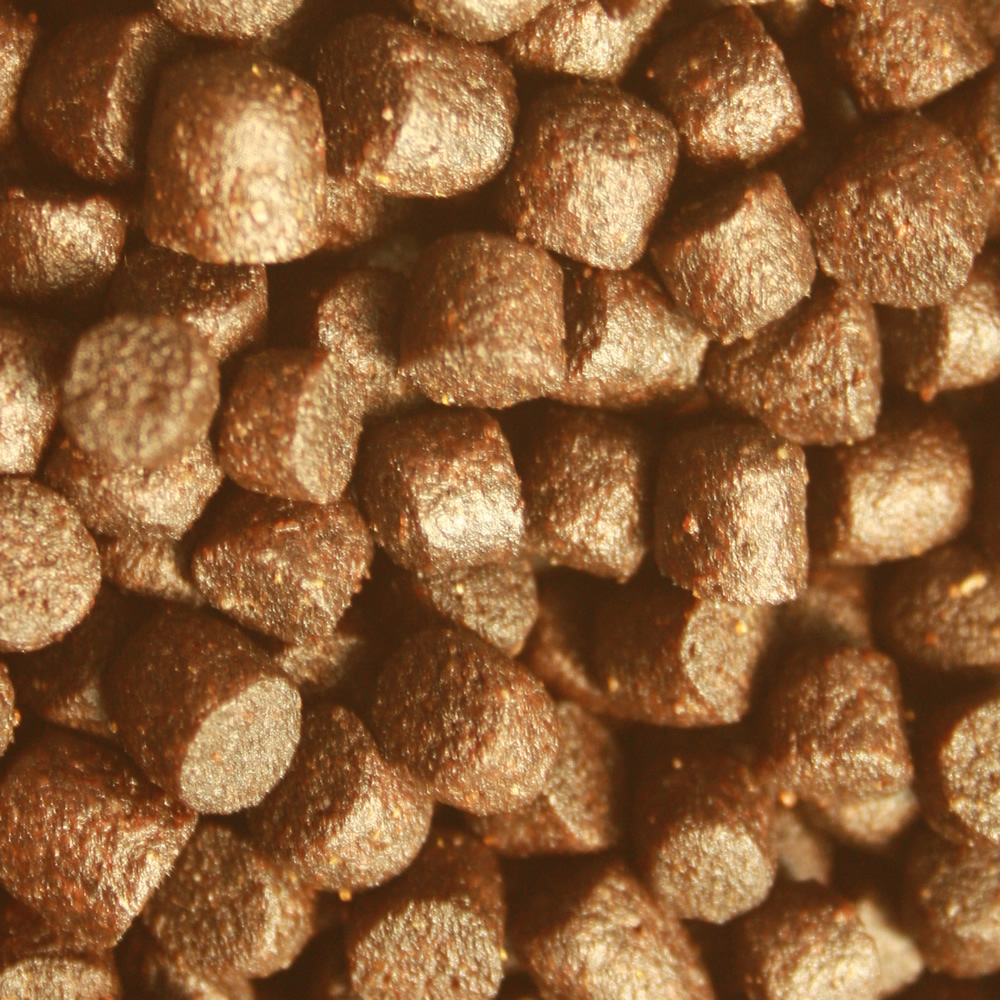 Frühjahrsfutter Koi Gesundheitsfutter Energiefutter für Koi antibakteriell teilsinkend 5mm 5kg Eimer