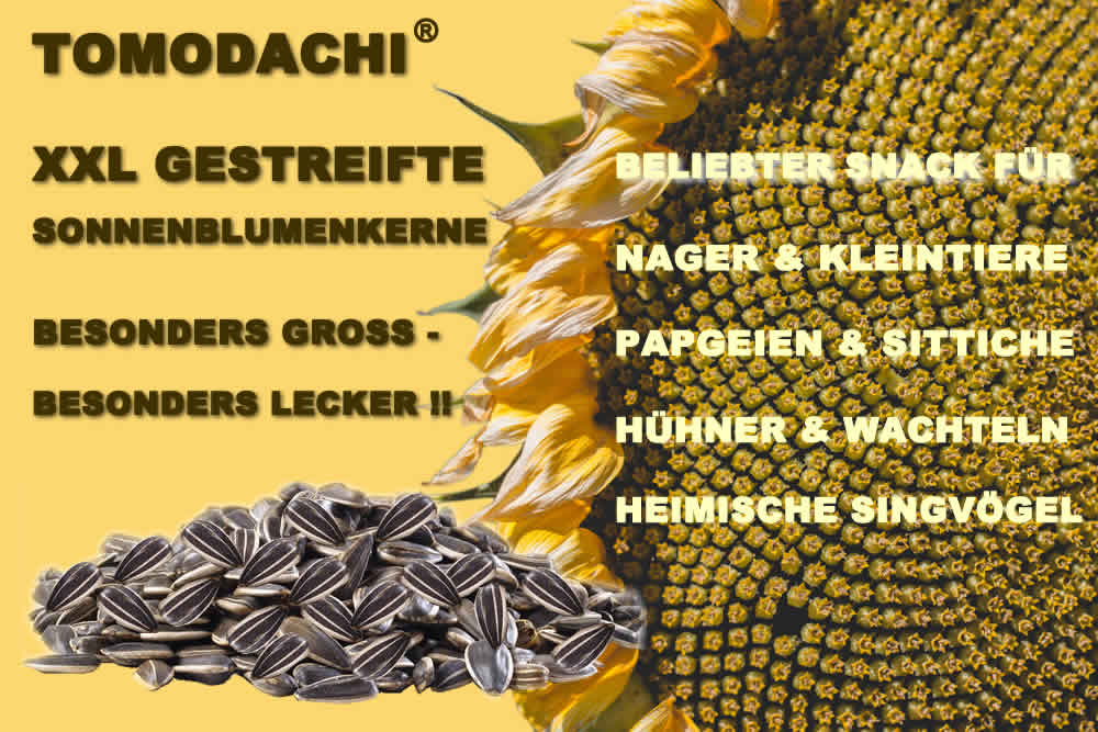 Vogelfutter Sonnenblumerne gestreift, XXL, Wildvogel, Singvogel, Winterfutter Energiefutter  10kg