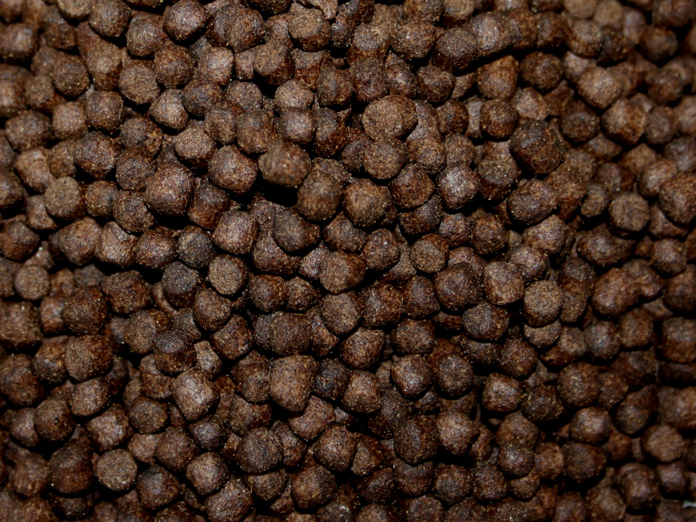 All Season Professional Koifutter, energiereiches Ganzjahresfutter, Wachstumsfutter Koi 6mm 2kg