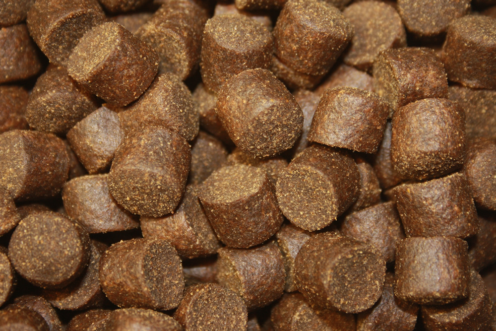 Störfutter hoch energiereich, Premium Störsinkfutter große Störe, Störfutter Top Qualität 10mm 15kg