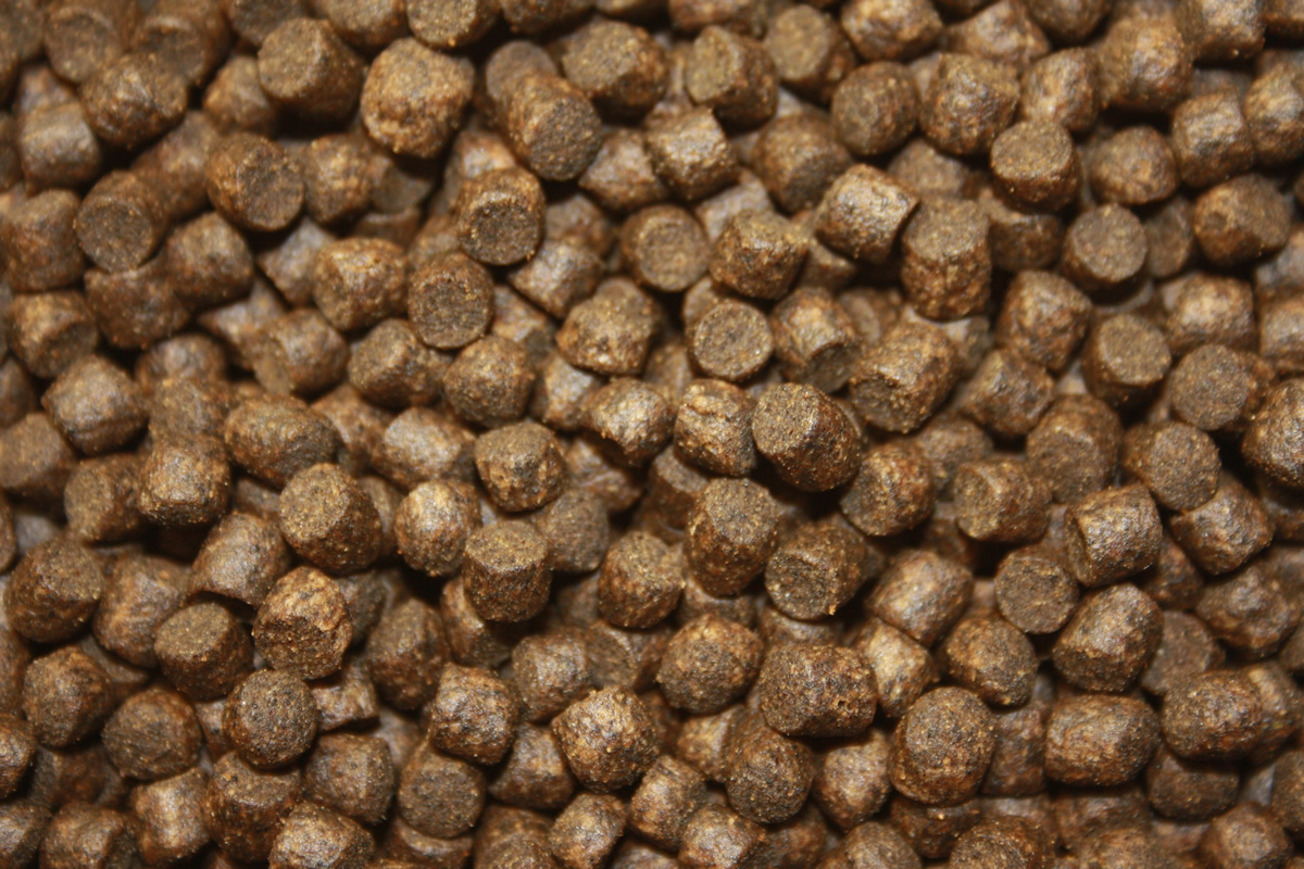 Herbstfutter Koi, sinkendes Gesundheitsfutter für Koi mit Vitalisan Monoglyceriden, Immunschutz 5kg