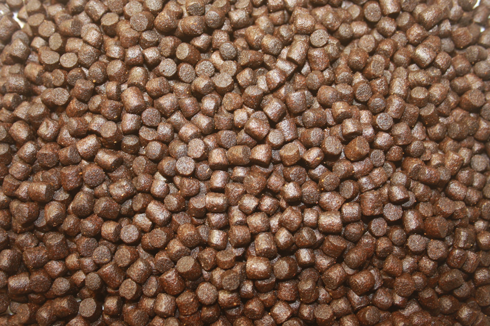 Spirulinafutter, Energiefutter Koi, Premium Koifutter High Energy +Spirulina, Farbschutz  6mm 10kg