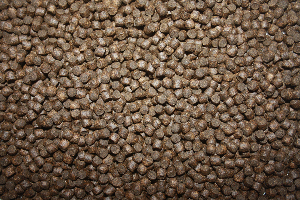 Koifutter, Schwimmfutter, Herbstfutter Spirulina, Canthaxanthin, Energiefutter für Koi 2kg 4mm