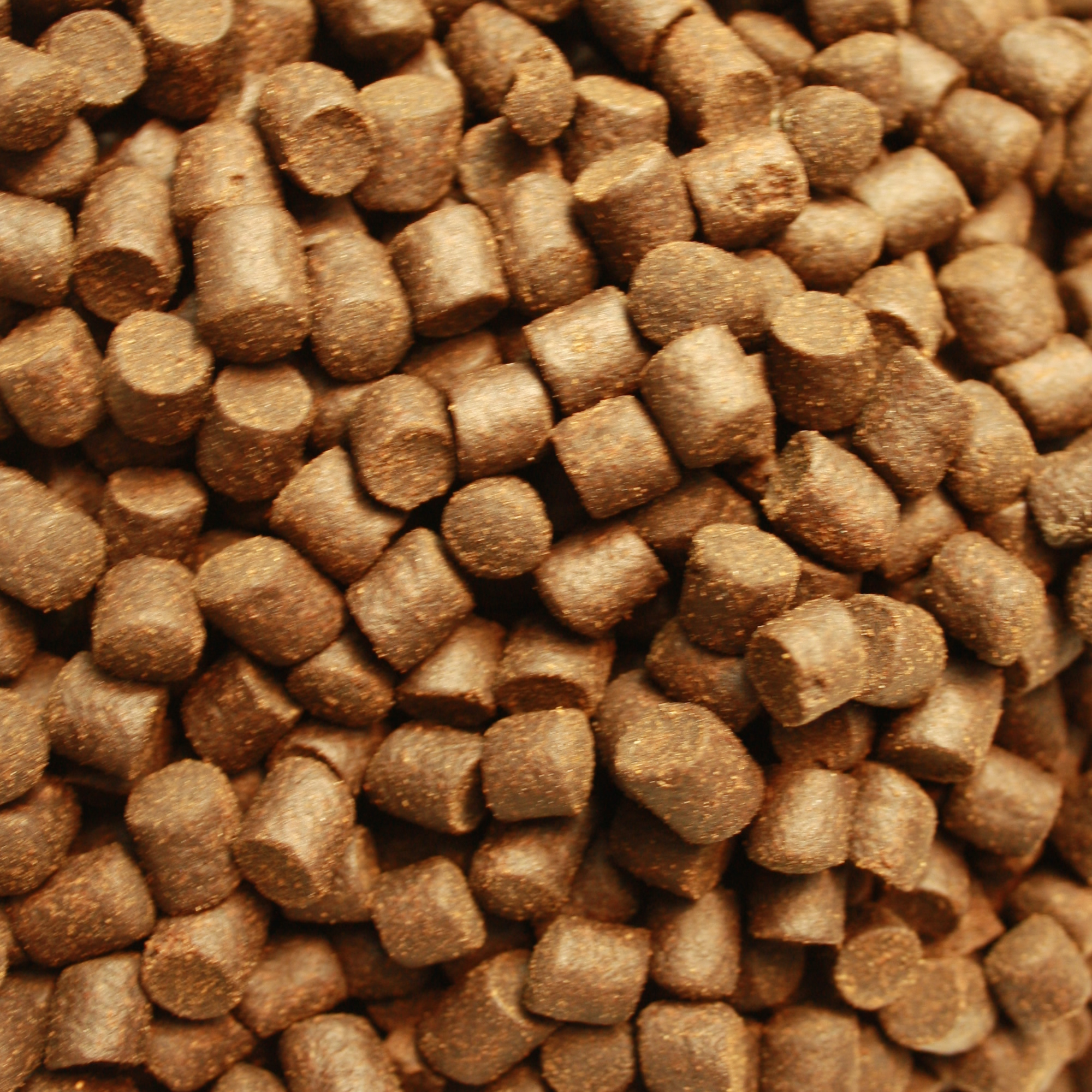 Gesundheitsfutter, Winterfutter Koi, Sinkfutter Monoglyceride, Tomodachi Deep Winter Vital 5mm 1kg