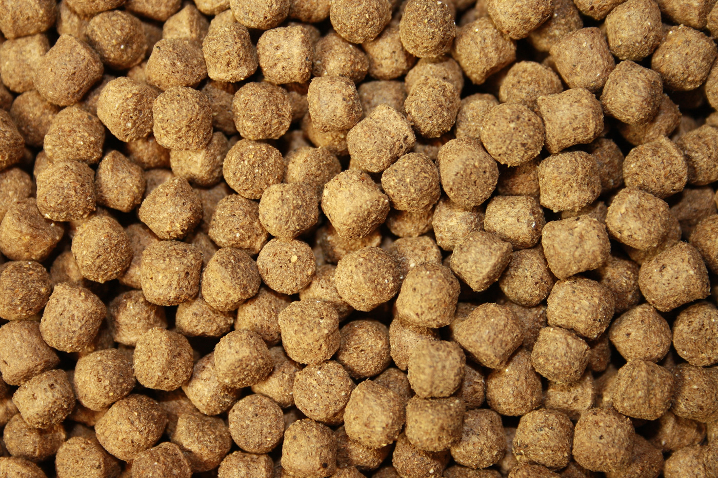 Jumbo Koifutter All Season Ganzjahres Koifutter Schwimmfutter für große Koi 8mm 5kg Eimer