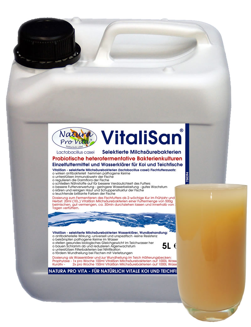 Milchsäurebakterien Koifutter Zusatz antibakteriell Futterverwertung hautklärend darmregulierend 5L