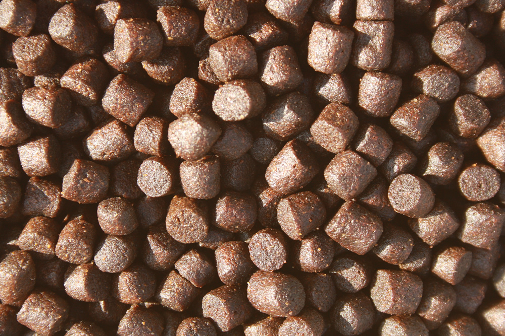 Sommerfutter Koi, Premium Wachstumsfutter Koi, Astax + Spirulina, 6mm, 2kg