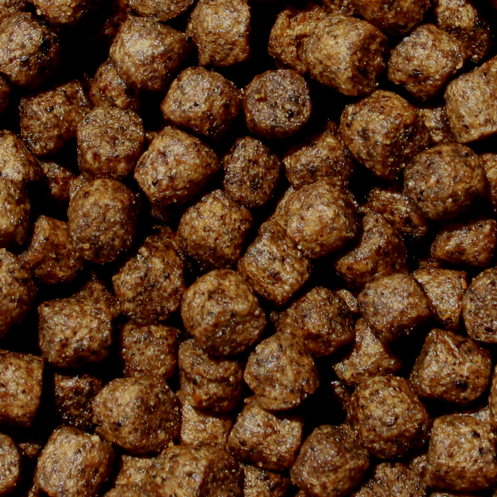 Energiefutter,  Sommerfutter Koi Spirulina, Astax, Farbschutz, Immunschutz 2kg 4mm