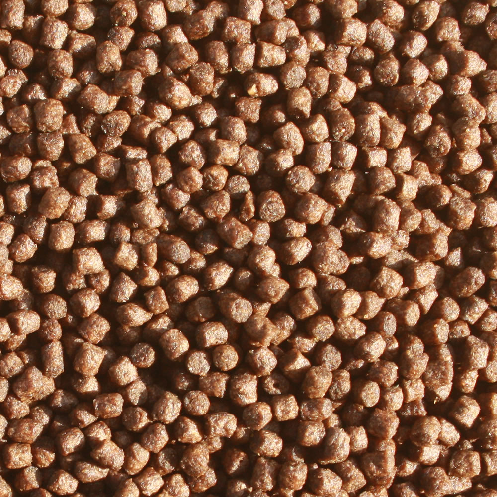 All Season Professional  VITAL Koifutter, Gesundheitsfutter mit Monoglyceriden, Immunschutz 3mm 10kg