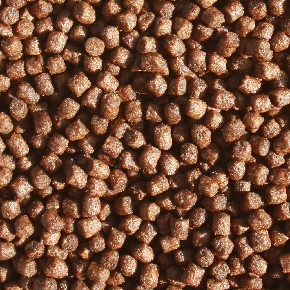 Koifutter, Schwimmfutter, Herbstfutter, Spirulinafutter, Canthaxanthin Energiefutter für Koi 2kg 3mm