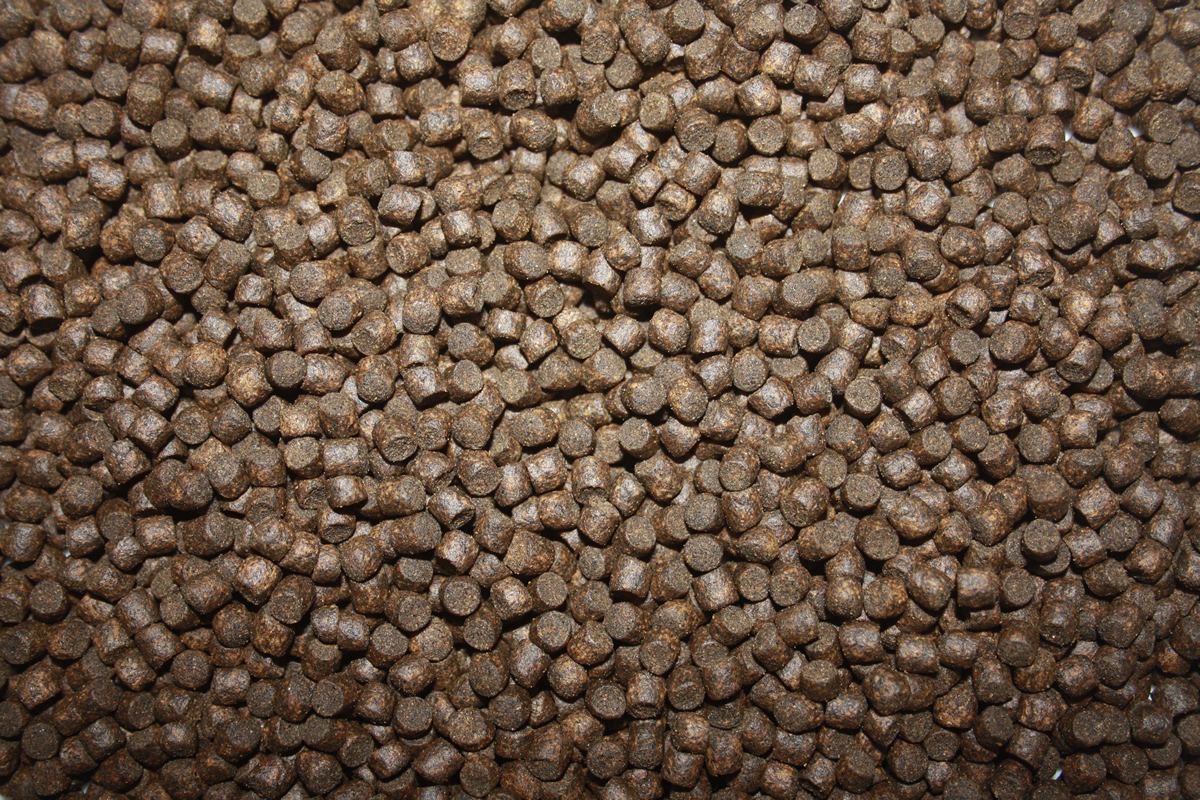 Herbstfutter Koi, sinkendes Gesundheitsfutter Koi mit Vitalisan Monoglyceriden, Immunschutz 1kg