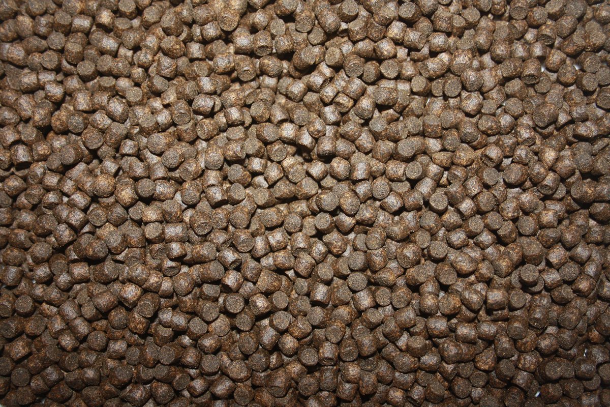 Herbstfutter Koi, sinkendes Gesundheitsfutter für Koi mit Vitalisan Monoglyceriden, Immunschutz 5kg