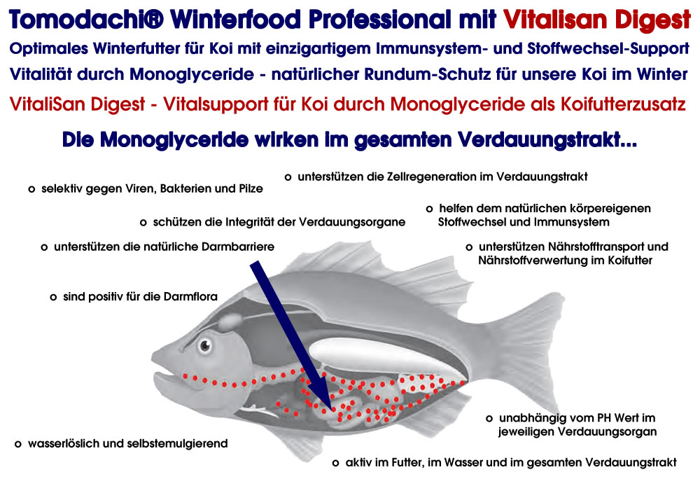 Koi Winterfutter Gesundheitsfutter Immunschutz mit Astax Winterfood Professional VITAL 5mm 5kg