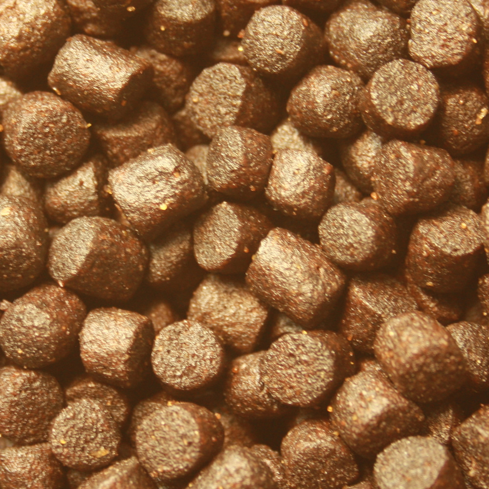 All Season Professional Koifutter, Energiefutter, Ganzjahresfutter, Wachstumsfutter Koi  8mm 5kg