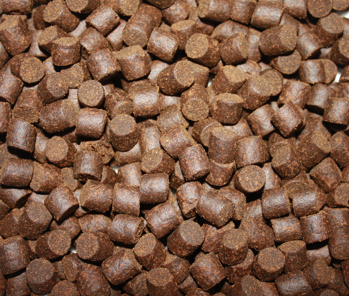 Störfutter hoch energiereich, Premium Störsinkfutter große Störe, Störfutter Top Qualität 10mm 15kg