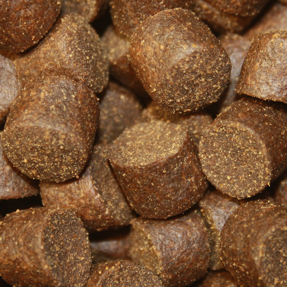 Störfutter extragroß, Energiefutter für sehr große Störe, Premium Störsinkfutter 10mm 10kg