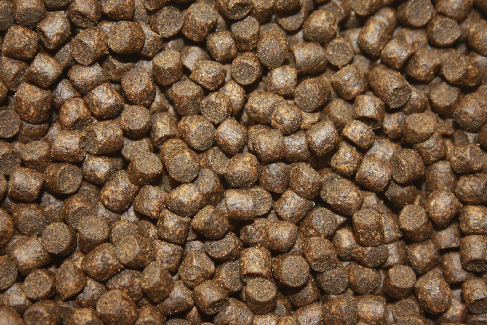 Winterfutter Koi, Immunschutz, Koigesundheit,  Betaglucan Koifutter sinkend,  Winterbalance 5mm 10kg