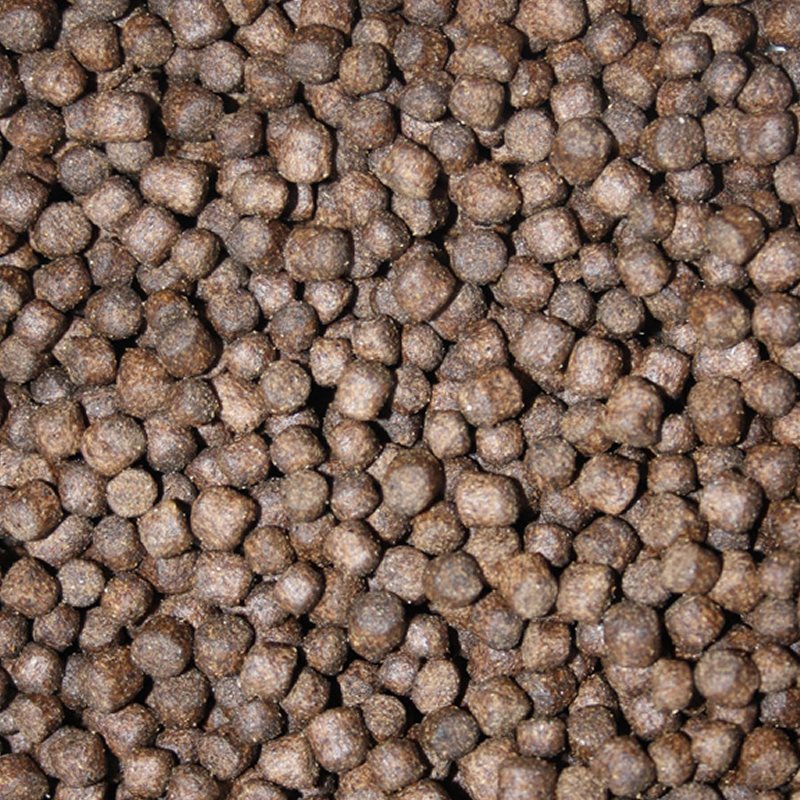 Winterfutter für Koi Sinkfutter energiereich hochverdaulich Tomodachi Winterfood Classic 5kg Eimer