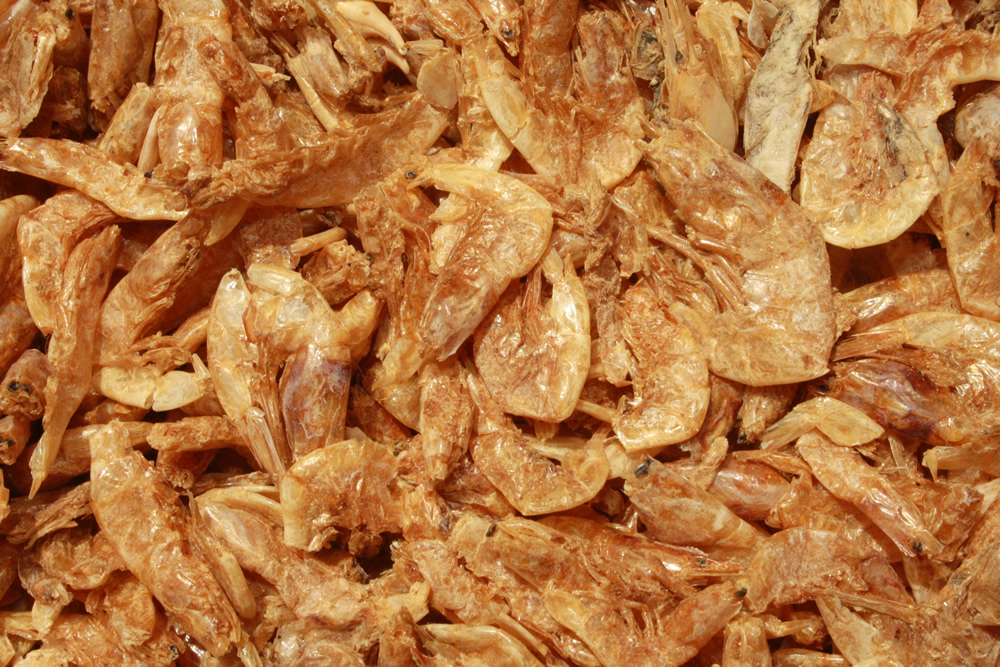 Süßwassergarnelen, Shrimps, Koisnack für den Sommer - gesund, beliebt und sehr lecker  5L Eimer