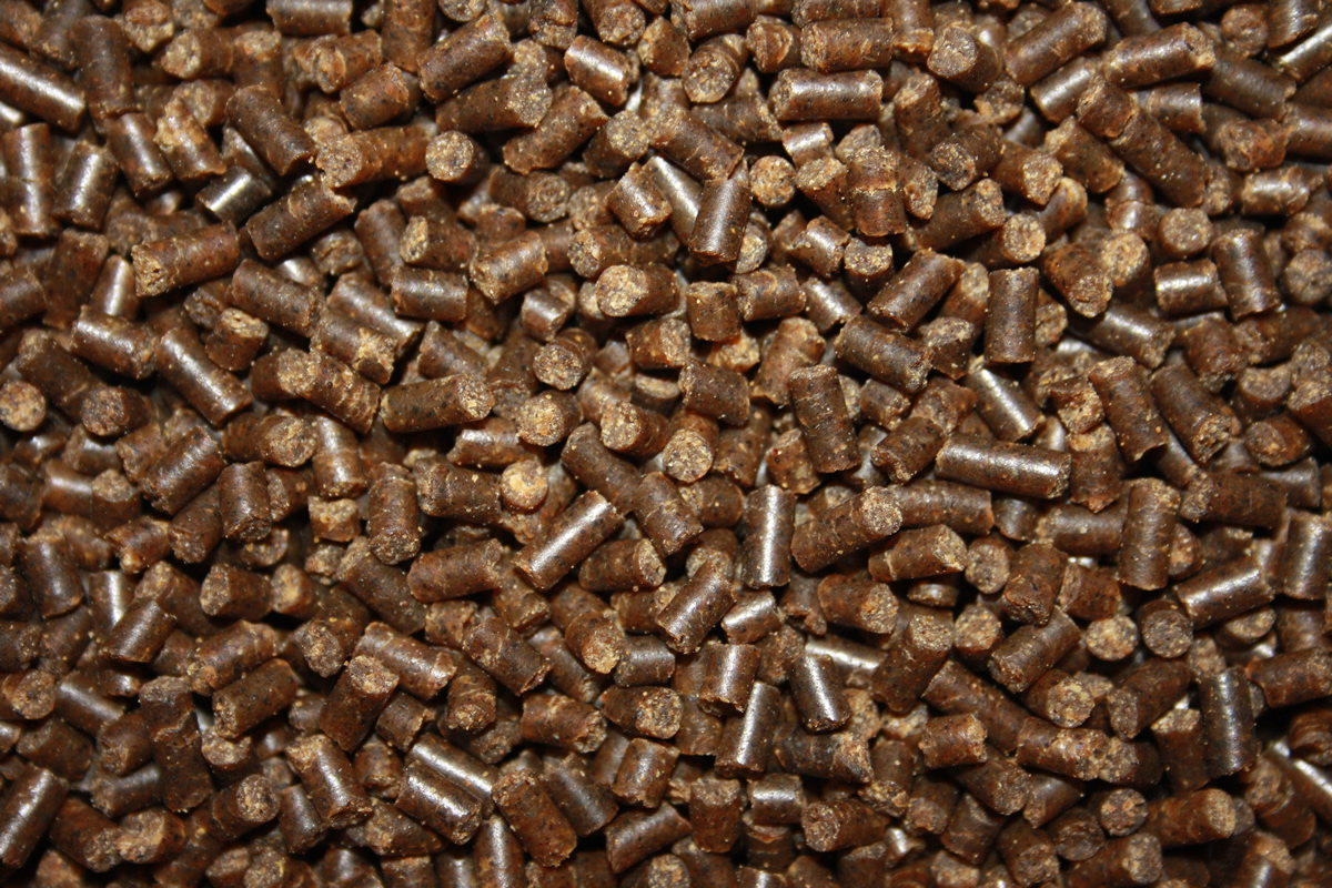 Winterfutter, Sinkfutter Koi, Jungkoifutter energiereich, schnellsinkend, WinterDiet Junior 3mm 10kg