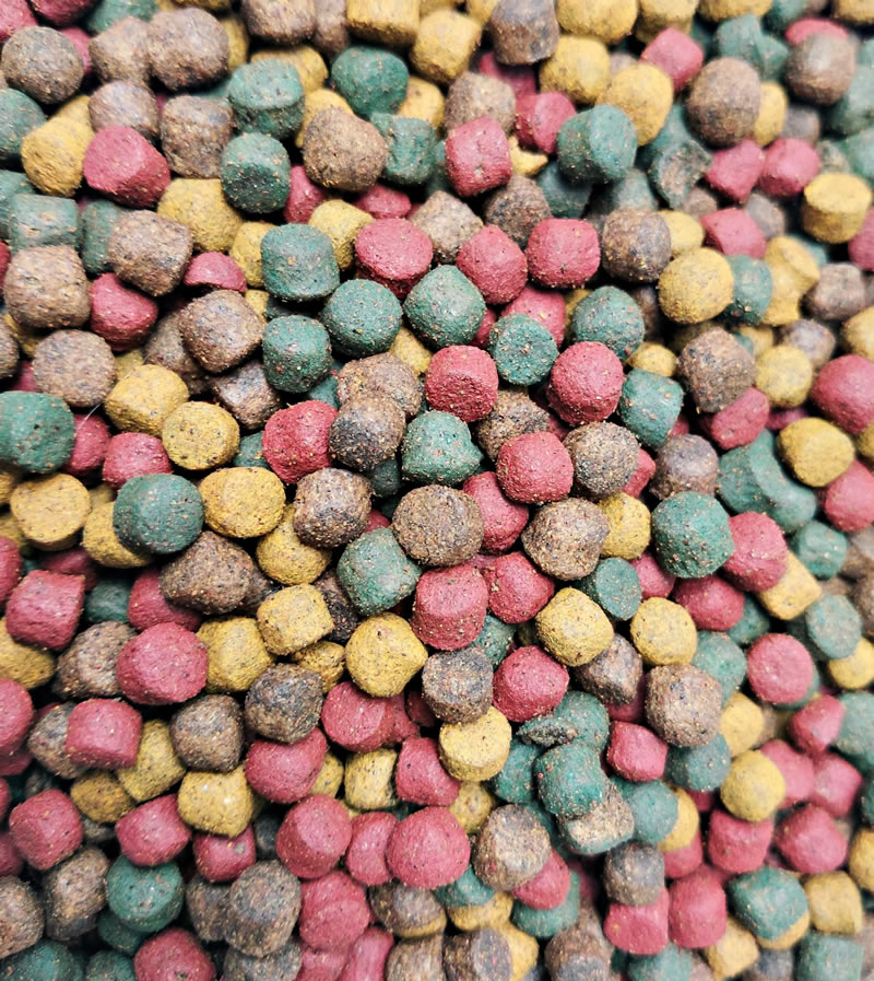 Koifutter-Mischung Jumbo-Koimix 8mm Pellets großer Koifuttermix 4farbig Spirulina Astax 8mm 10kg