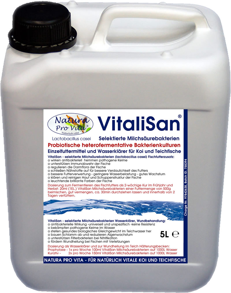 Milchsäurebakterien Koifutter Zusatz antibakteriell Futterverwertung hautklärend darmregulierend 5L