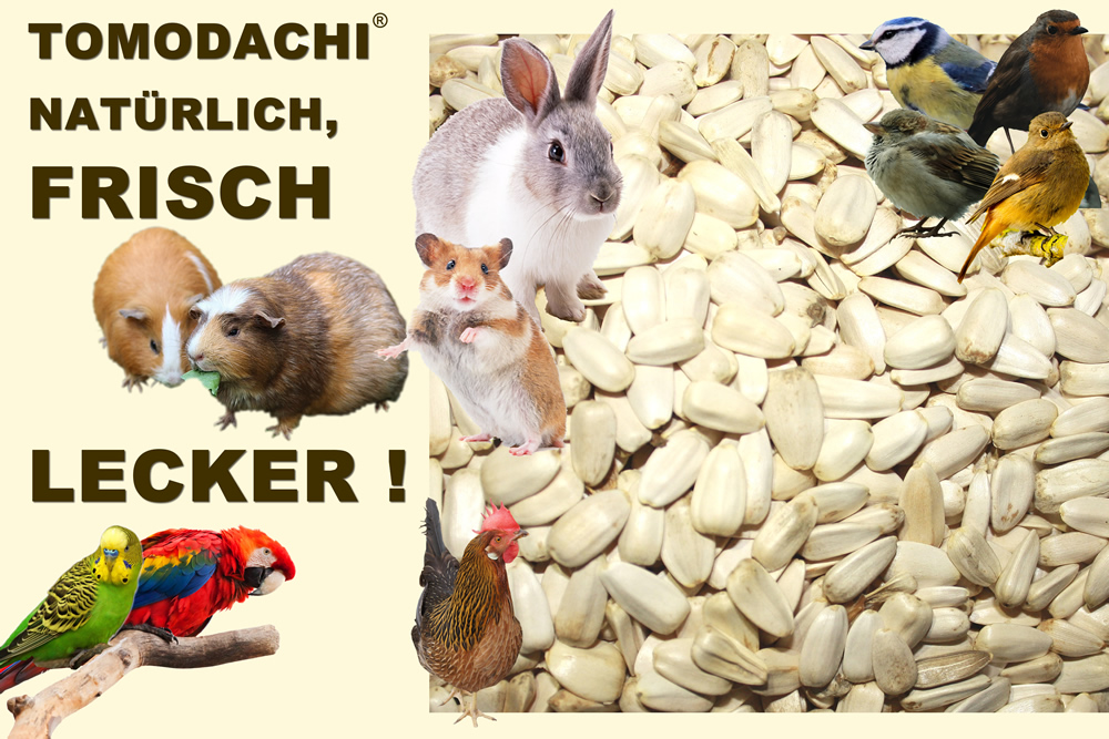 Sittichfutter, Papageienfutter, Vogelsnack, Hühnerbelohnung, Sonnenblumenkerne  weiß 5kg